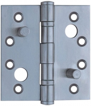 HG5013 Stainless Steel Hinge