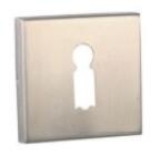 AY1113 Key Cover (Escutcheon)